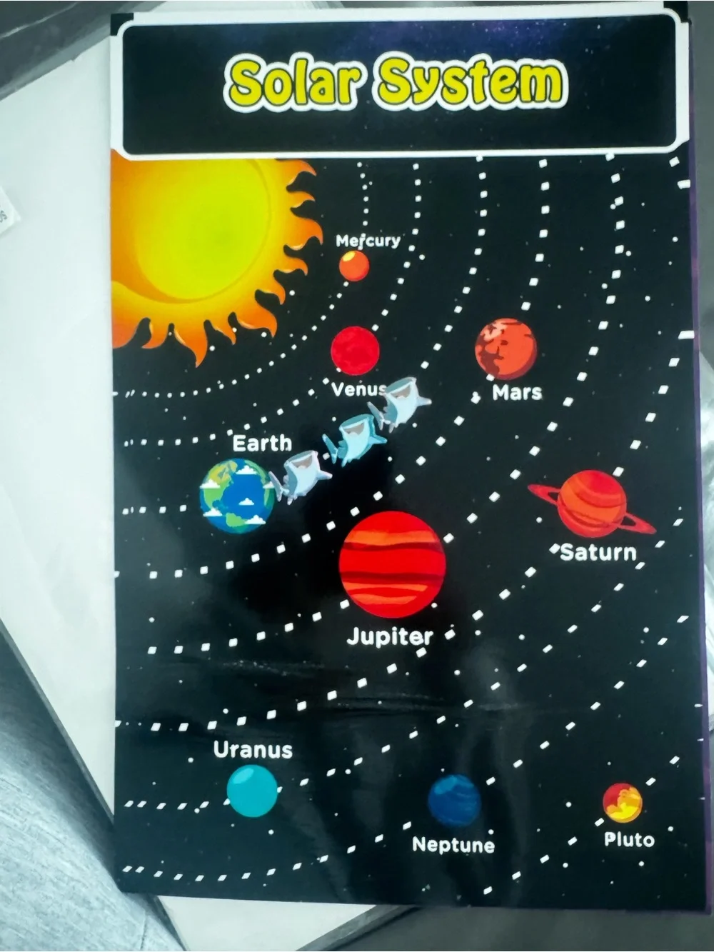 20 Pack Large Kids Laminated